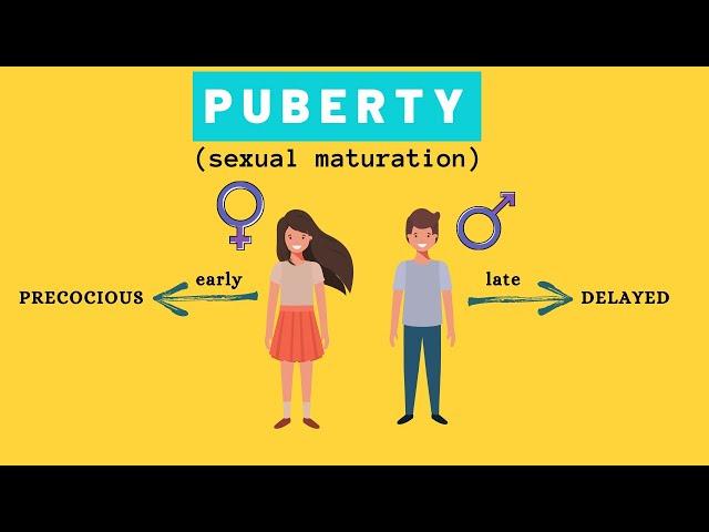 Late Puberty vs Early Puberty  Puberty Stages