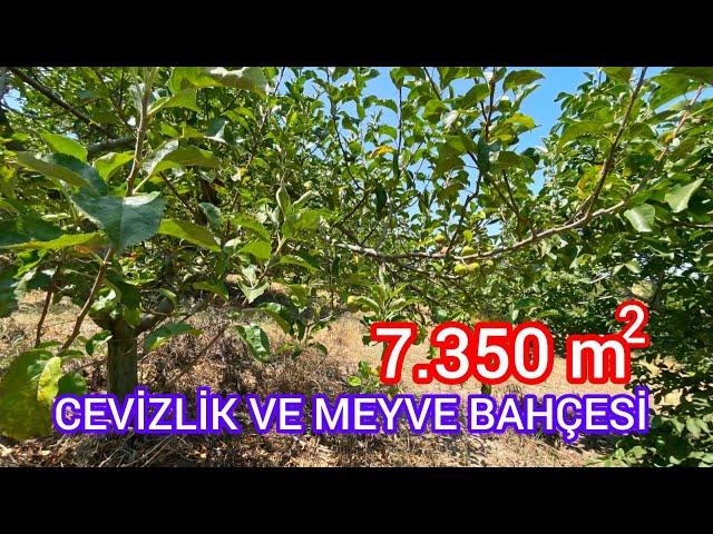 7.350 M² YETİŞKŞİN CEVİZ VE ÇOK ÇEŞİT MEYVEDEN OLUŞAN MEYVE BAHÇESİ- MANYAS ŞEVKETİYE