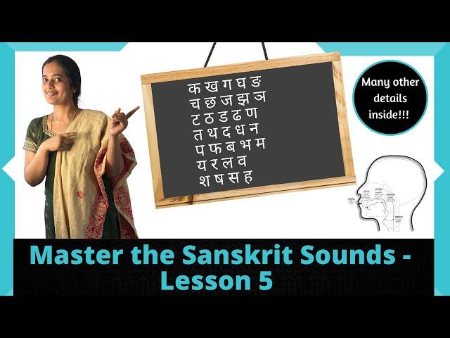 The Sanskrit consonants - Varnamala Series - Episode 5