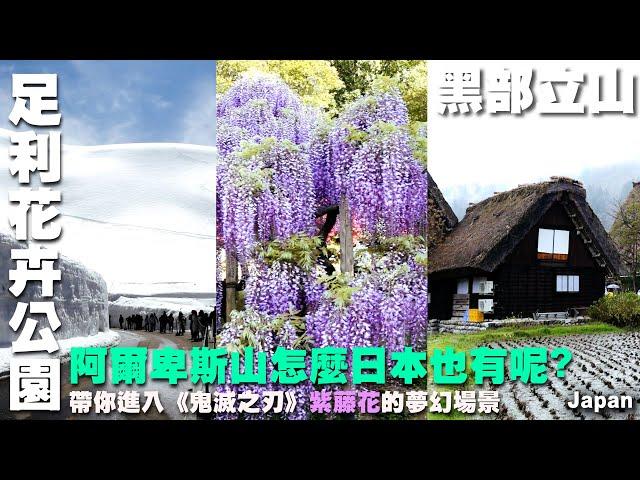 阿爾卑斯山怎麼日本也有呢?帶你進入《鬼滅之刃》紫藤花的夢幻場景~黑部立山旅遊~忍野八海｜飛驒小京都 高山散策｜白川鄉合掌村｜阿爾卑斯之路｜立山黑部｜輕井澤かるいざわ｜足利花卉公園｜日本 Japan