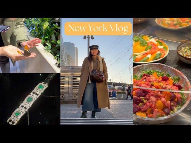 NYC Vlog - South Seaport, Van Cleef Jewelry Exhibition, The Butterfly Vivarium