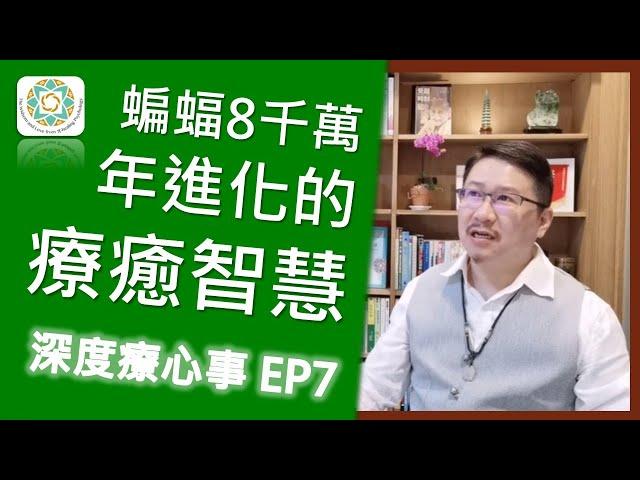 蝙蝠8千萬年進化出來的療癒智慧｜我們一起深度療心事 EP7《亞瑟導師｜深度療心》#病毒 #療癒 #智慧