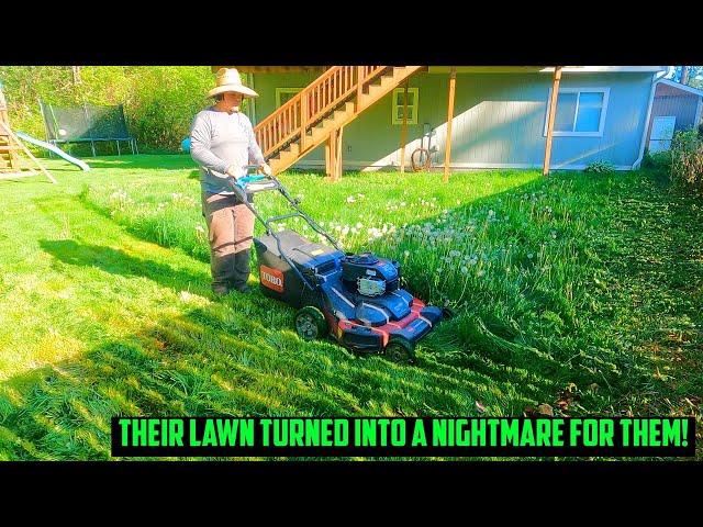 SHE Was DESPERATE For Someone to SAVE Her YARD! Overgrown Lawn Transformation #satisfying