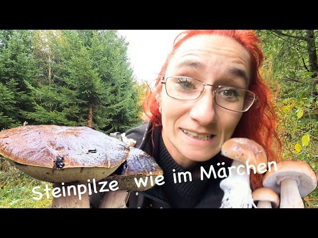 Steinpilze ,Maronen und Hexenröhrlinge ohne Ende !