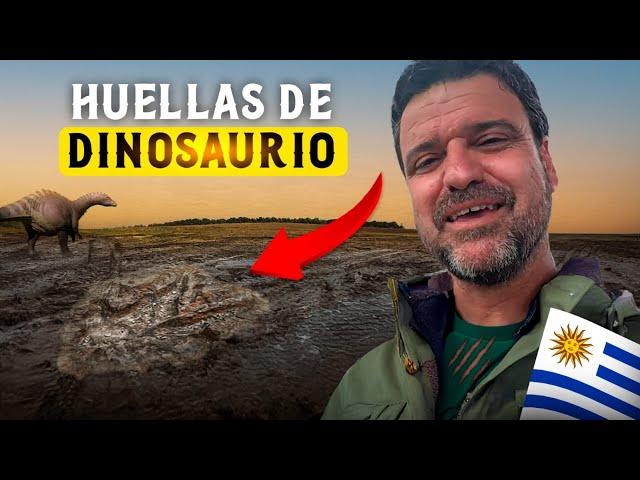 Huellas de DINOSAURIO en Uruguay