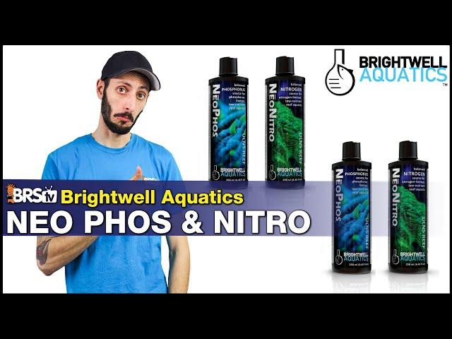 Struggling With Low Nitrates & Phosphates in Your Reef Tank? Brightwell NeoNitro & NeoPhos Is Here!