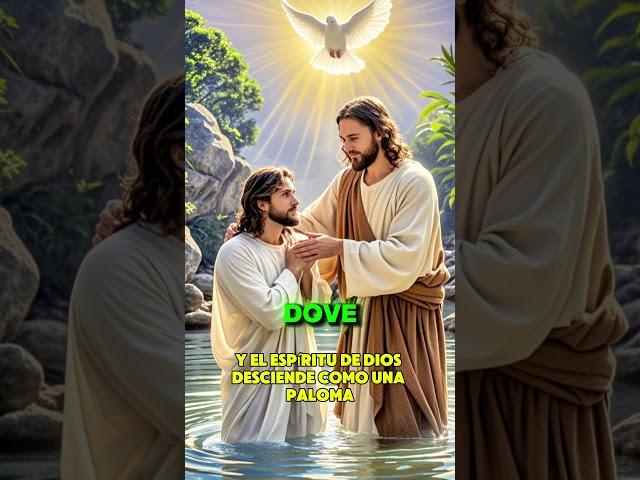 John the Baptist and the Baptism of Jesus #jesuschrist #jesus #christian #bible