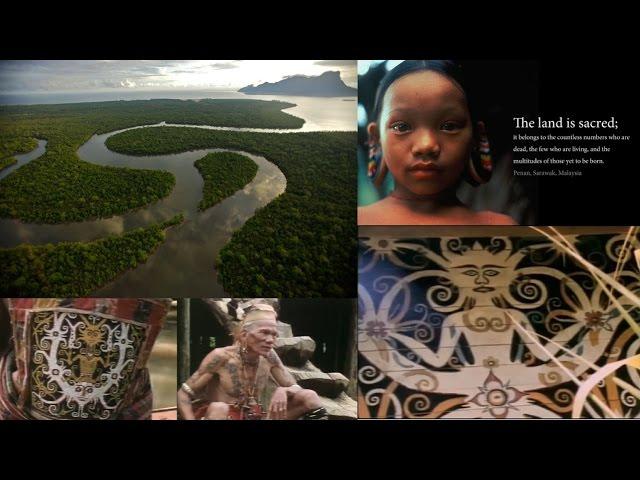 Indigenous Wisdom - Punan of Borneo - Awaken Your Dream Wanderer Within