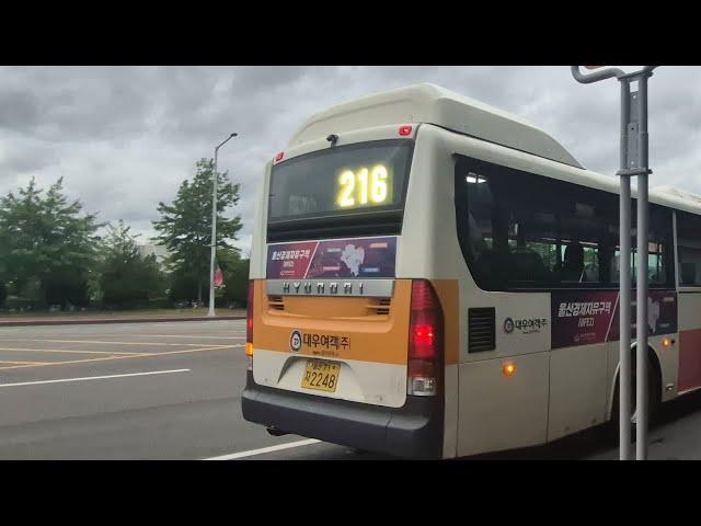 울산(216.구.236)대우여객 현대 18년식 하이브리드 블루시티 고상 울산공항 정류장 진입/발차