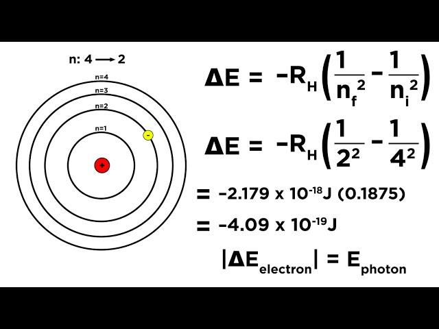 Bohr Model of the Hydrogen Atom