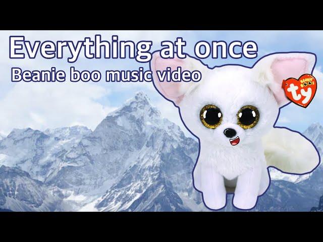 “Everything at once” Beanie boo music video