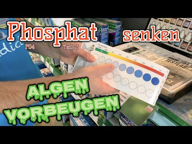 Phosphat senken - Algen vorbeugen Teil 2 | verstehen, messen, ändern