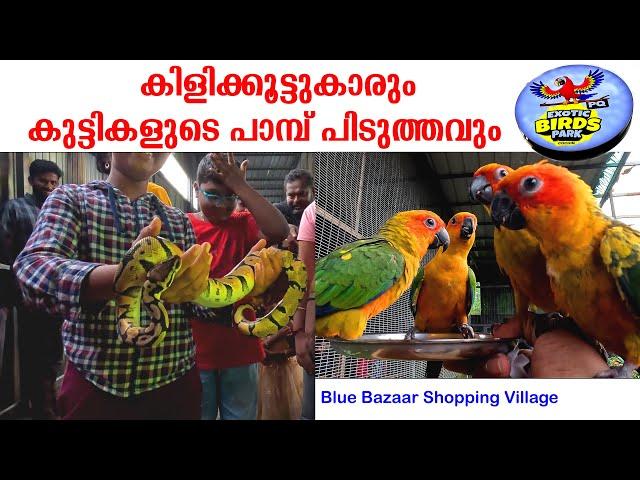 PQ Exotic Birds Park Kochi | One Day Trip Places In Kerala | Blue Bazzar Shopping Village Ernakulam