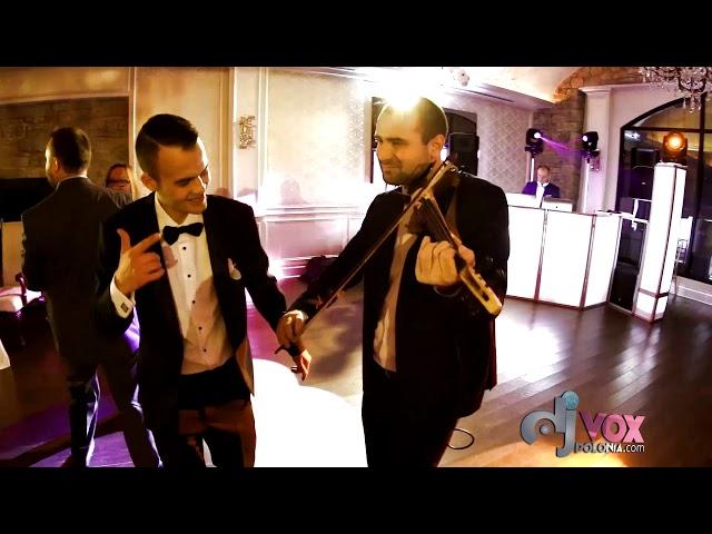 Polish American Wedding || Vox Polonia DJs Wesele Mix 2