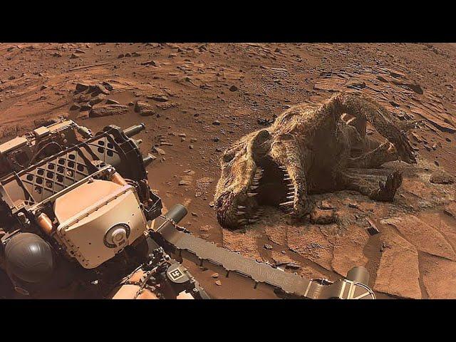 NASA's Perseverance Rover Recently Uploaded Stunning Video Footages Mars in 4k || Mars New 4k Update