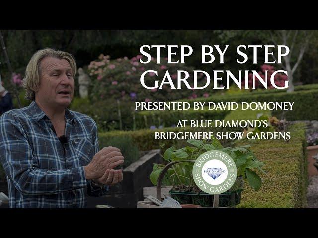 Grow Runner Beans, Grafted Veg & More with David Domoney