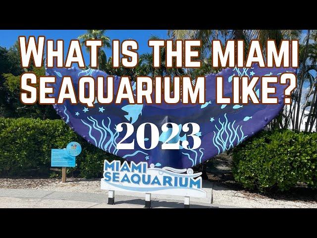 Miami Seaquarium Full Tour & Review & Shows 2023 - What is it like - Things to do in Miami Florida