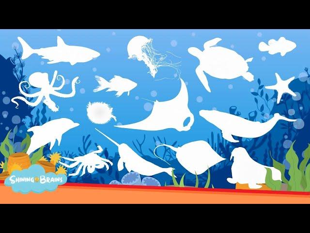 Learn Sea Animal Names - Sea Animal Puzzle for Kids - Ocean Animals