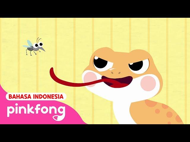 Cicak Cicak di Dinding | Bahasa dan Versi Inggris | Lagu Anak Indonesia | Pinkfong