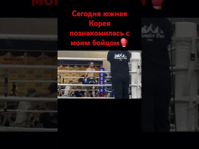 Профессиональный бой Клуб воин #бокс#boxing#box