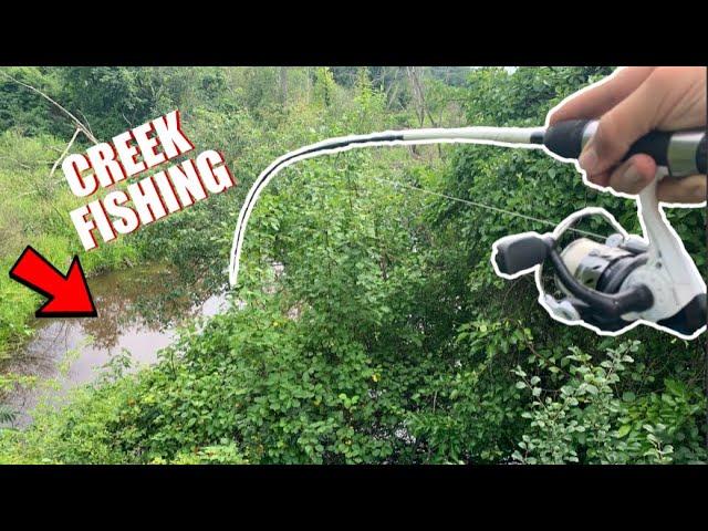 This Creek was LOADED with HUNGRY FISH!! (Creek Fishing)