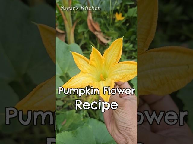 Kaddu ke Phool ke Pakode | Pumpkin Flower Recipe #Shorts