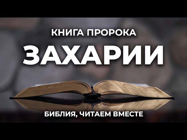 Книга пророка Захарии. Читаем Библию вместе. УНИКАЛЬНАЯ  АУДИОБИБЛИЯ