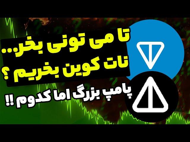 فوری تا می تونی بخر پامپ بزرگ نات کوین و تون کوین اما کدوم !!! اگه داری ...