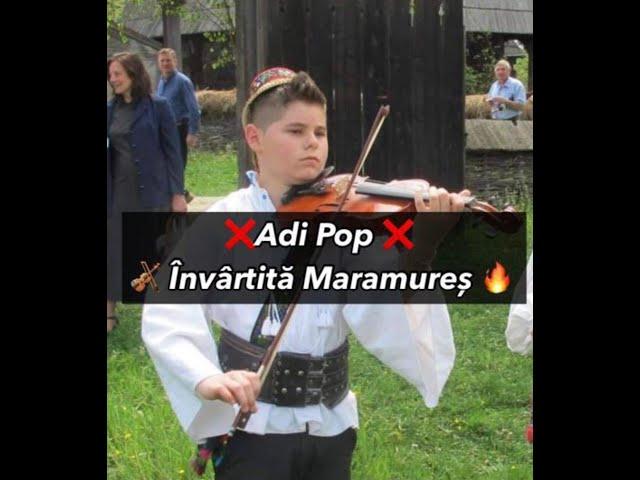 Adi Pop  La 12 ani la VIOARĂ !!!  SHOW || Nuntă Săpânța MARAMUREȘ ||