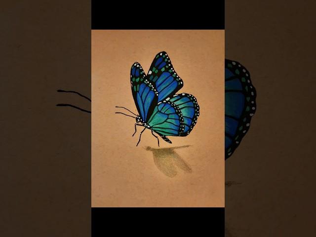 Drawing a blue-green butterfly 