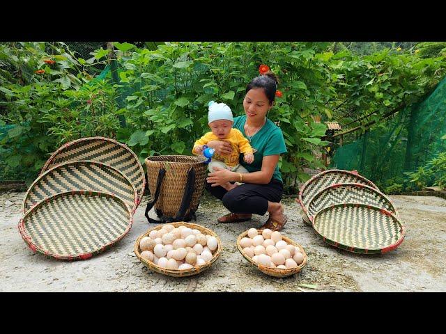 How to weave bamboo baskets, Harvest chicken eggs and bring them to the market to sell - Lý Thị An