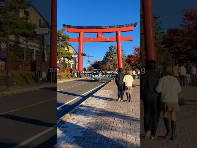 matcha shortage in japan 