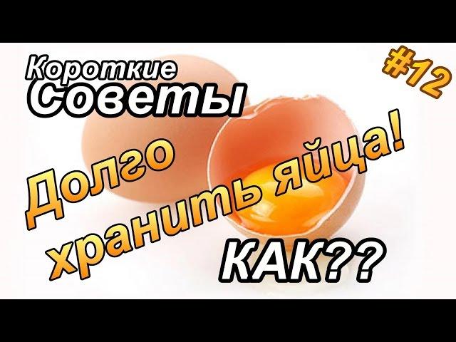 Как долго хранить яйца?