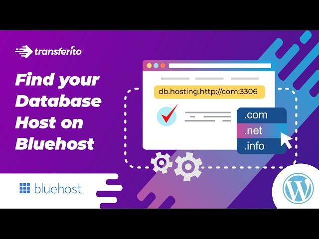 How to find your Database host on Bluehost | WordPress Migration Plugin Transferito