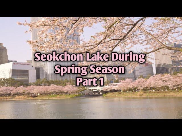 Spring Season at Seokchon Lake Seoul South Korea Part 1  @mjcphotography9889