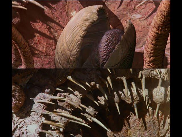 Sarlacc Pit - Return of the Jedi Ultimate Edition