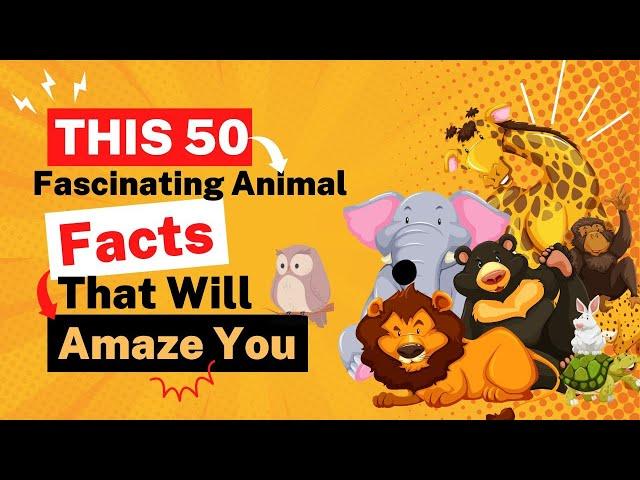 This 50 Fascinating Animal Facts that will amaze you | Animal fact | satisfying