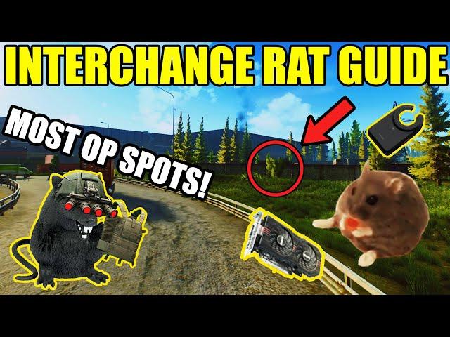The Ultimate Interchange Rat Spot Guide  || Escape From Tarkov (extract camping/Ratting tutorial)