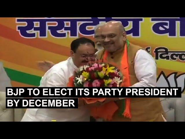 BJP to elect its party president by December