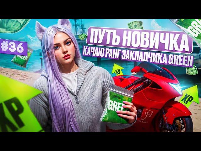 ПУТЬ НОВИЧКА НА MAJESTIC RP #36 СНОВА ВОЖУ ПАКЕТИКИ ГРИН КАЧАЮ РАНГ КУРЬЕРА