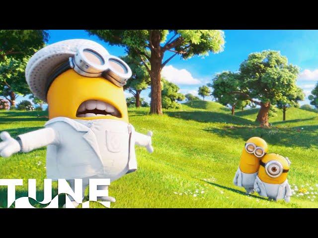 The Minions Sing I Swear and YMCA | Despicable Me 2 | TUNE