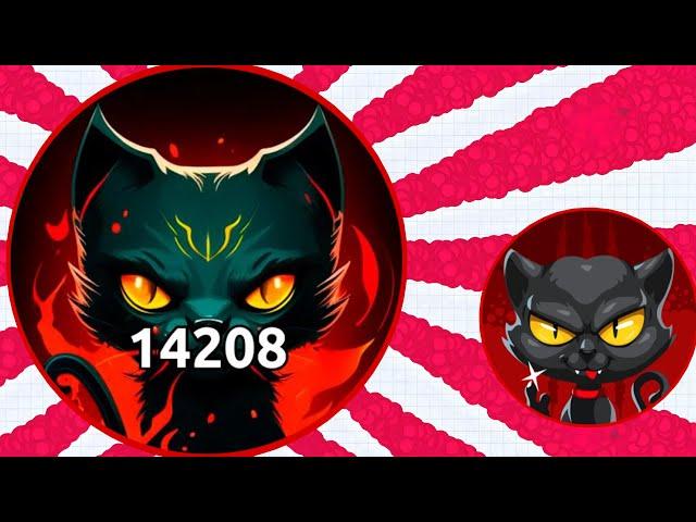 THE REVENGE (AGARIO MOBILE)