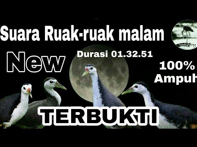 Suara panggil burung Ruak-ruak malam. Sekali bunyi langsung terbukti cocok untuk OTT