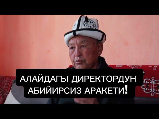 Алай: Неберемдим ДНКсы эки башка чыкты