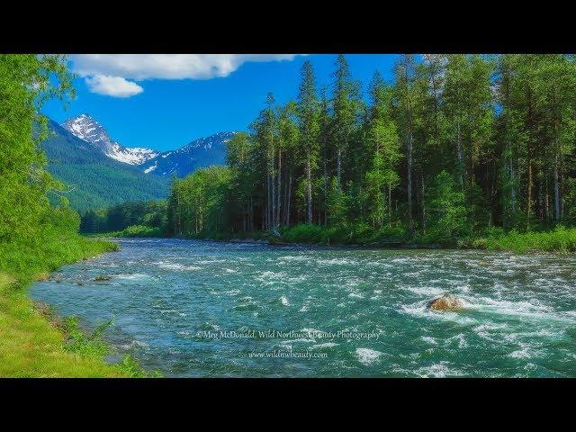 Stunning Sauk River Falls and Rapids: Cascade Mountains (HD)