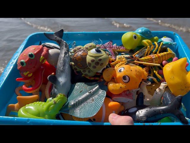 Box of Sea Animal Toys this Summer at the Shore