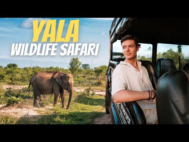 Unexpected Surprises on Our First Safari! | Yala National Park, Sri Lanka 