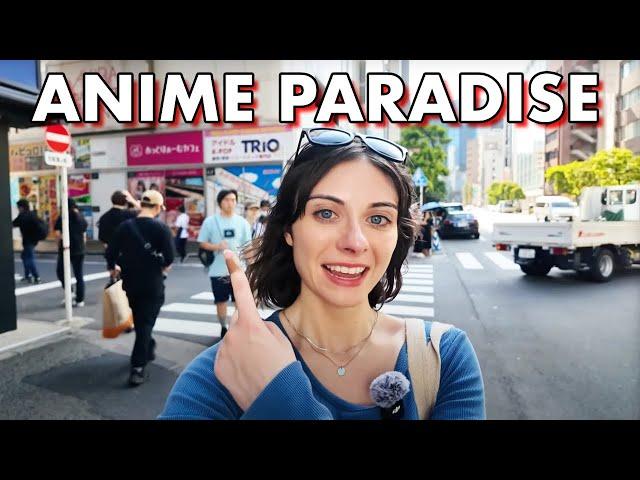 Inside Rashinban: Exploring Akiba Ultimate Anime Figure Paradise!