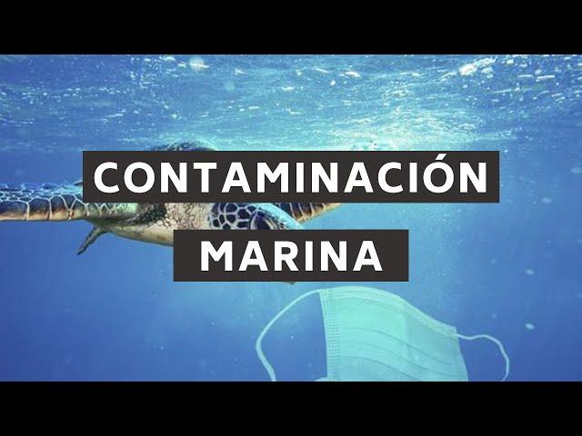 Contaminación marina | Perspectiva Verde