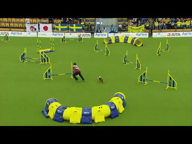 AWC 2018 Small Team Jumping
